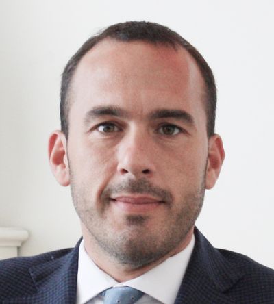 Manlio Di Stefano image